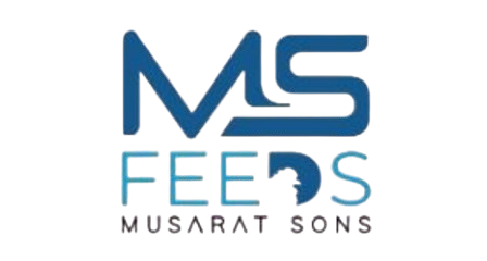 MS Feeds